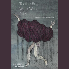 To the boy who was night book cover